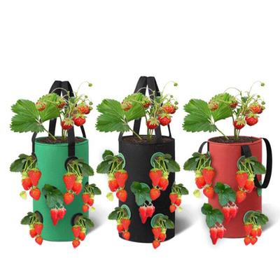 3 Gal 12 Holes Strawberry Grow Pot Bags Plants Flower Tomato Growing Garden Wall Hanging Vegetable Root Planting Her