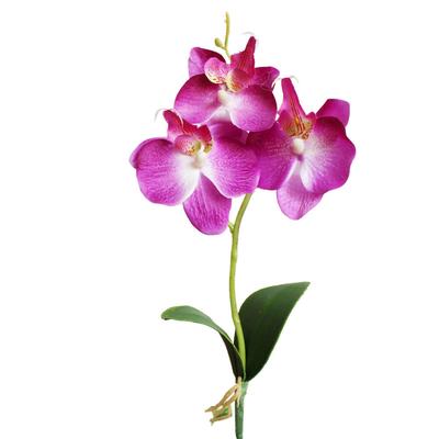 Kopf Künstliche Schmetterling Orchidee Seide Blume Hause Hochzeit Decor