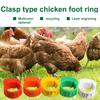 Yousheng 100Pcs Chicken Ring Adjustable Buckle Design Easy-assembled Duck Chicken Foot Ring for Marking