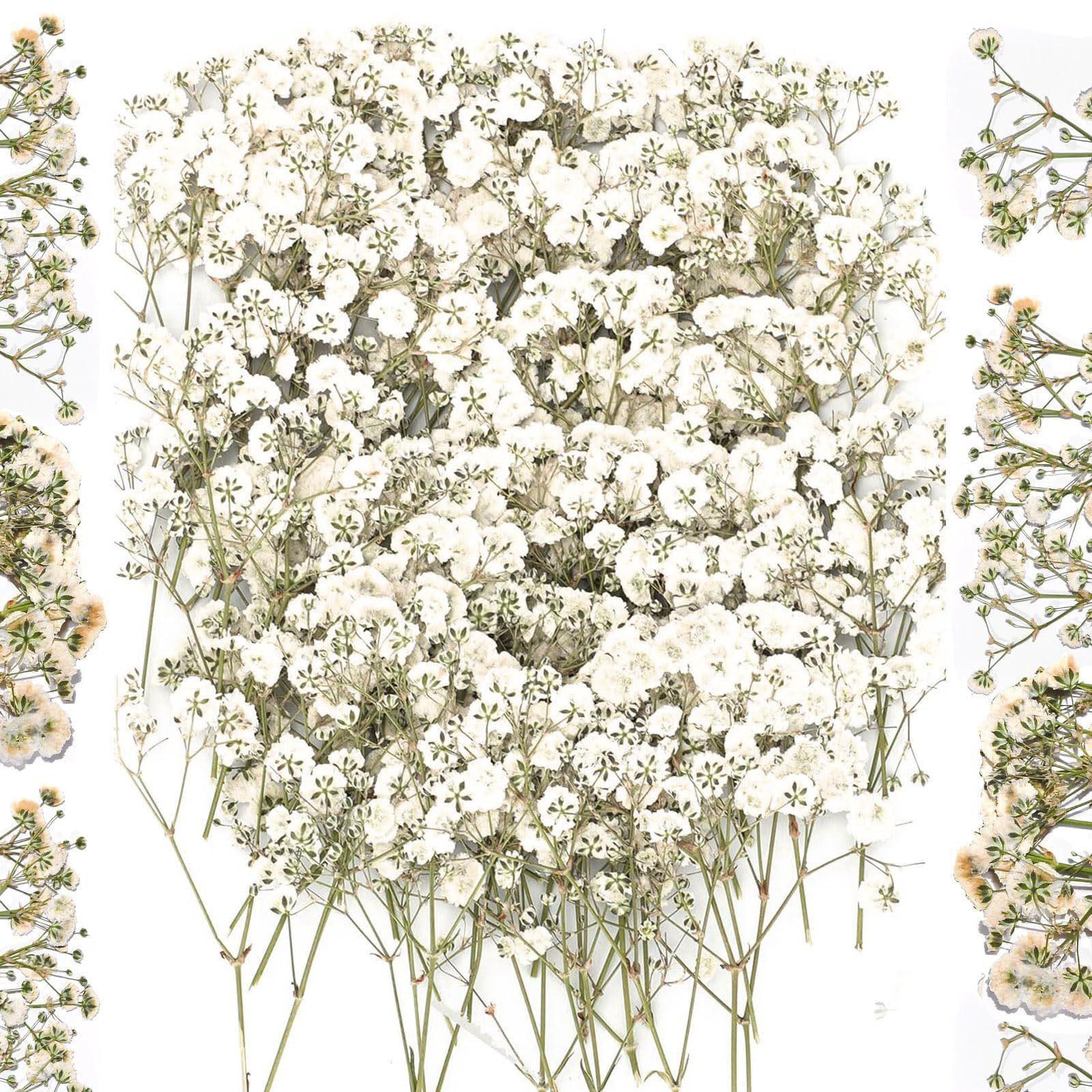 

100pcs Dried Baby Breath Flower Bouquet Natural Dry Flowers Craft Diy Materials Decoration Home Table Christmas Decoration One Size білий