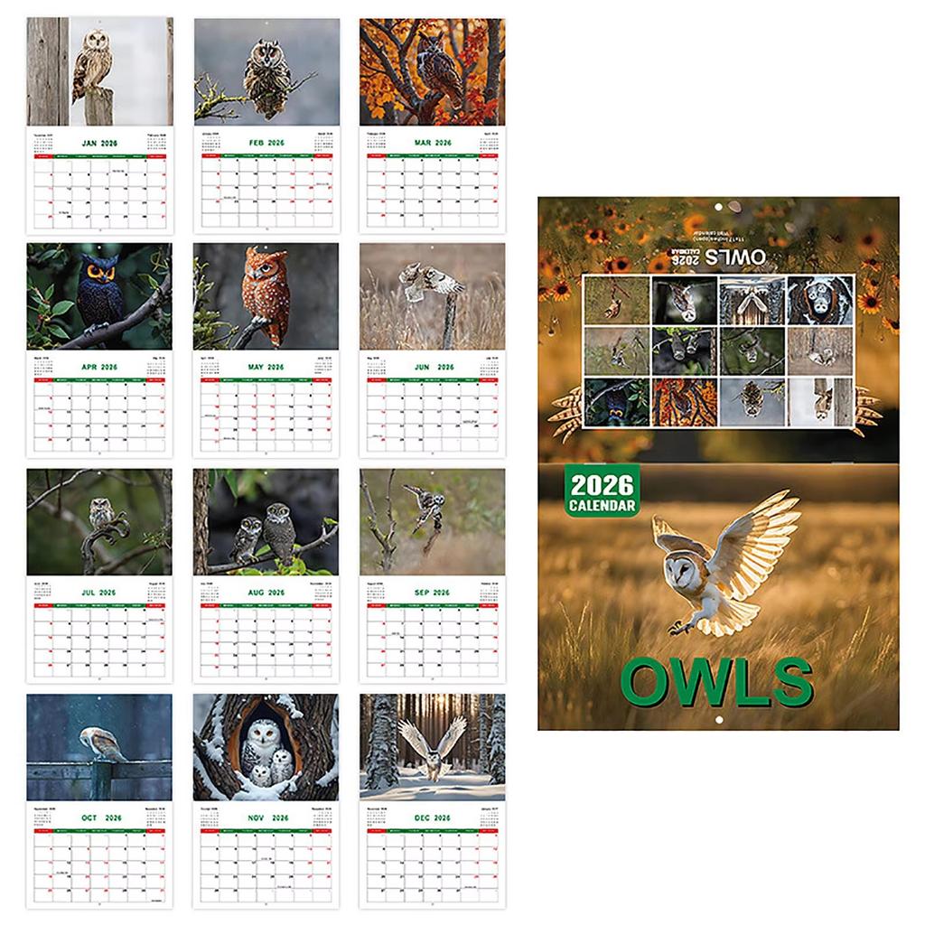 Owl Wall Calendar 2026 Featuring Diverse Owl Patterns Annual Monthly Planning Calendar Interesting Gift For Home Or Office Use