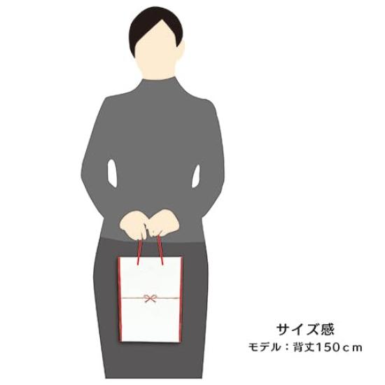 Ehime Paper Gift Paper Bags, Hanamusubi, 10-Pack, GBAG-FT-10P