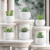 Artificial Succulent Plants Decorative Plants Faux Succulent Set Compact Size