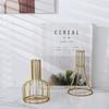 Retro Iron Art Vase Nordic Styles Hydroponic Flower Vase Black Gold  Glass Test Tube Metal Holder Geometric Line Frame Vases