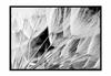 Bild Poster mit Rahmen 43x33 cm Pusteblumen p914