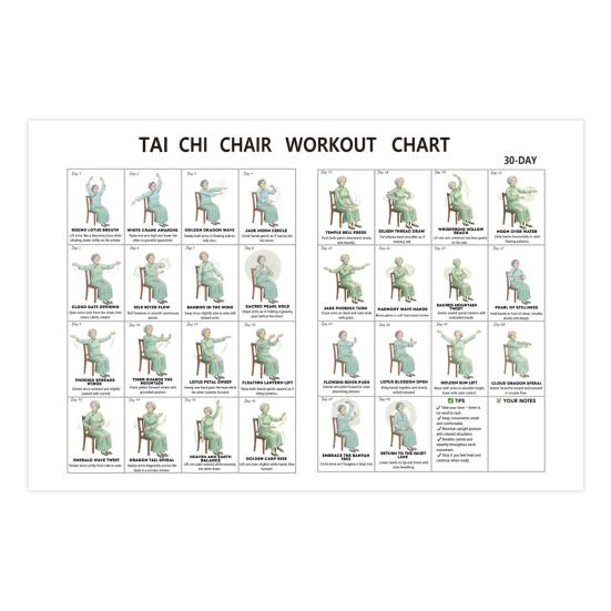 

30-Day Chair Tai Chi Exercise Poster for Seniors Canvas Print Practice Chart with Seated Poses Fitness Gift for Elderly Beginners Physical Therapy 30x45cm Female
