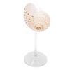 Conch Shell Wine Glass Elegant Unique Creative Drinking Goblet Cocktail Drinks Cup for Wedding Party Bar
