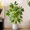 Plastic Material Fake Palm Plants Large Size Plastic Shrub Leaves  For Outdoor Decor