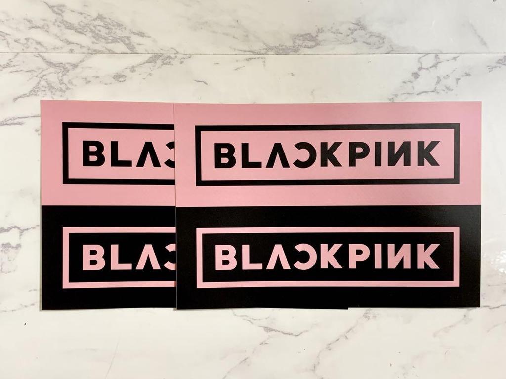 [USED] BLACKPINK BORN PINK T-SHIRT Limited Edition T-shirt