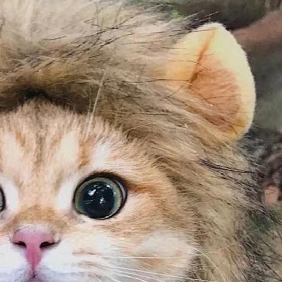 Halloweenská kočka Lví hříva Paruka Kostým Legrační Lví hříva Domácí mazlíček Cosplay Oblečení s Uchem pro Sváteční Focení Párty Maškarní doplněk