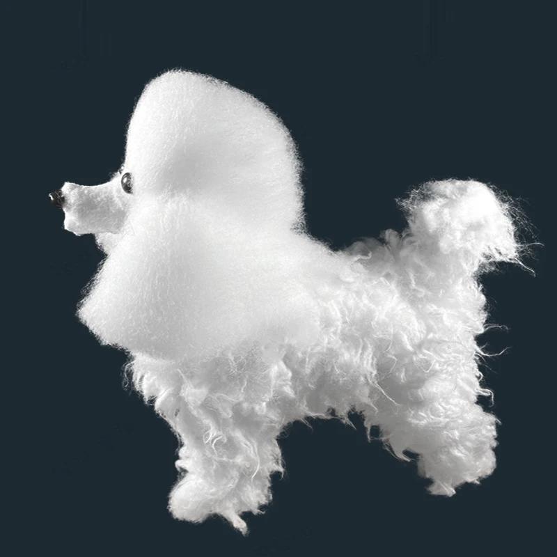 Haustier Simulationshaar Schönheitspraxis Hund Standardpudel Teddyhund Ganzer Körper Kunsthaar Nur Haustierpflege Trimmen Haarpraxis