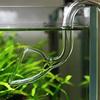 Peixes e animais aquáticos – Manutenção de aquário