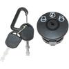 Garden Parts Ignition Switch Key for Ariens 42915215 50915217 60915219 911413 915131 915141 915143 915151 915155 915157 915159 915161 915169