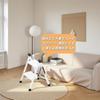 Shosho Folding Step Stool, Lightweight Design, Non-Slip, No Assembly Required, Storage Compatible (White, 2 Steps)