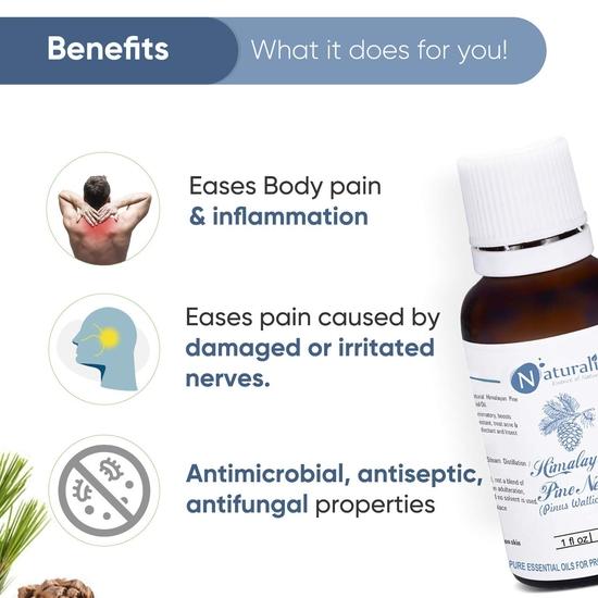 Naturalis Essence of Nature Himalayan Pine Needle Essential Oil for Steaming, Aromatherapy and Relaxation and Diffuser - 30ml
