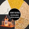 Swing House Bird Feeder Metal Patio Hummingbird Squirrel Feeder With Solar Power