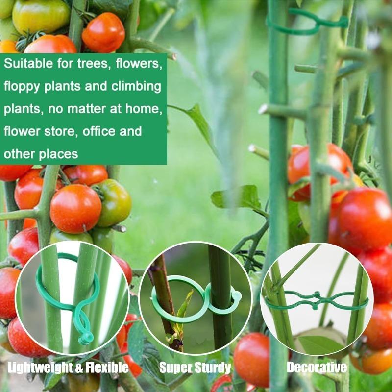 50/100Pcs 8-character Buckle Plastic Buckle Rattan Clamp Ring Plant Binding Buckle Plant Climbing Wall Clip Vine Support
