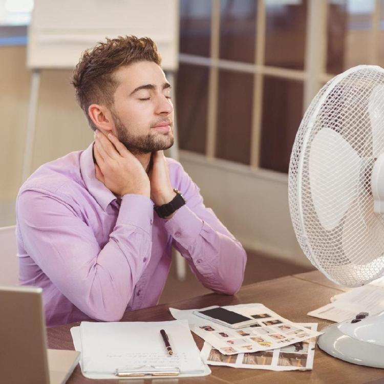 10 Flügel Ventilatorflügel 10/12 Zoll Ventilatorflügel Elektrischer Ventilatorflügel Tischventilatorflügel Standventilatorflügel Ventilatorzubehör