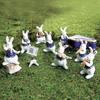 NAKANO Rabbit Clarinet Dolly's MC-200/CL
