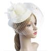 Feather Veil Headband With Lace Flower Women Elegant Hat Headwear Hairpinsfascinating Wedding Party Hair Clip