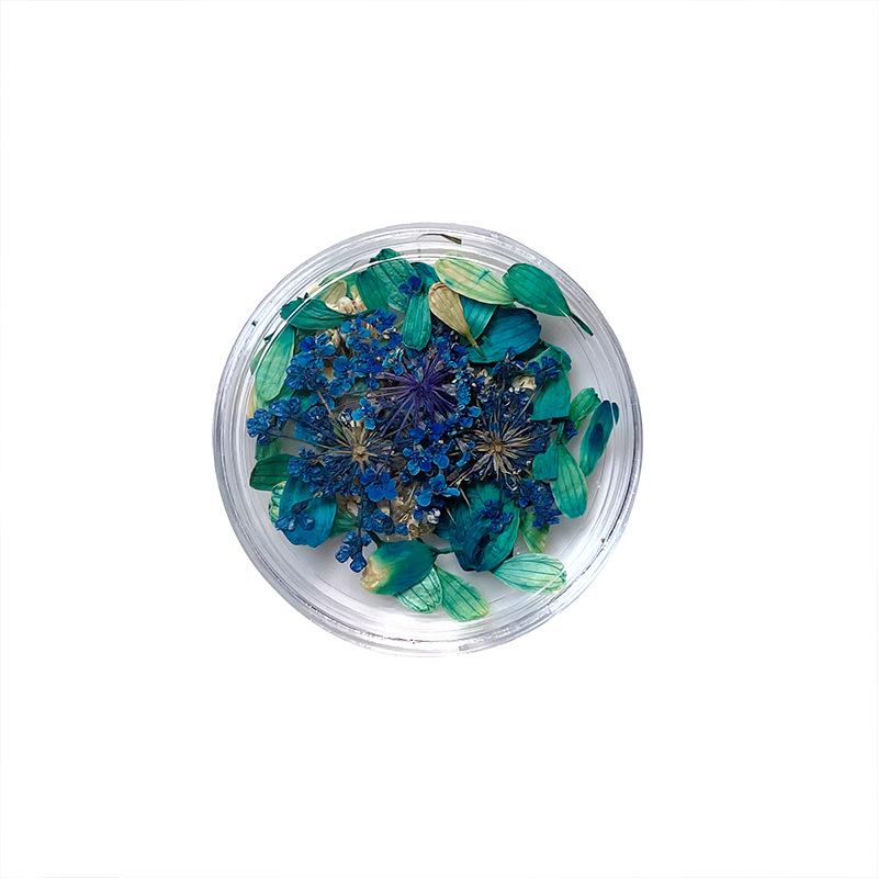 Nail art dried flower nail jewelry flower floral DIY mixed material diy nail art decor