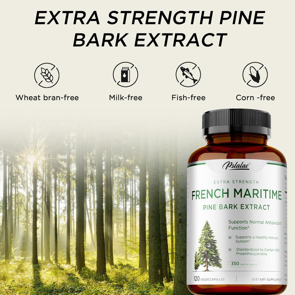 French Maritime Pine Bark Extract - Promote Blood Circulation and Heart Health