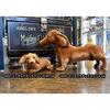 BH3876 HANSA Miniature Dachshund 56