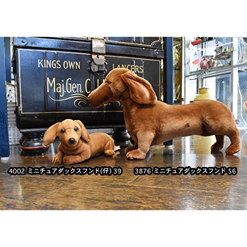 BH3876 HANSA Miniature Dachshund 56