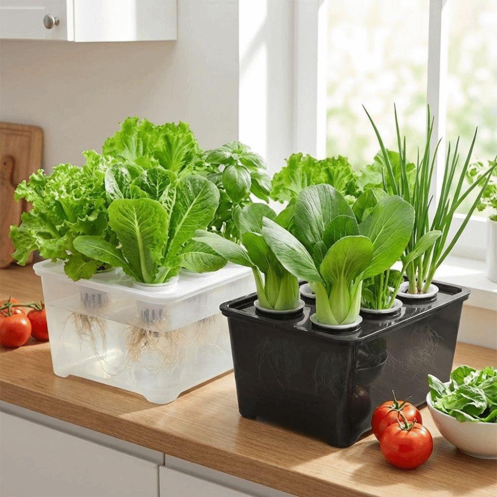 6 Holes Hydroponic Grower Kit Self Watering Nursery Pots Soil-Free Planting Box  Vegetable Growing