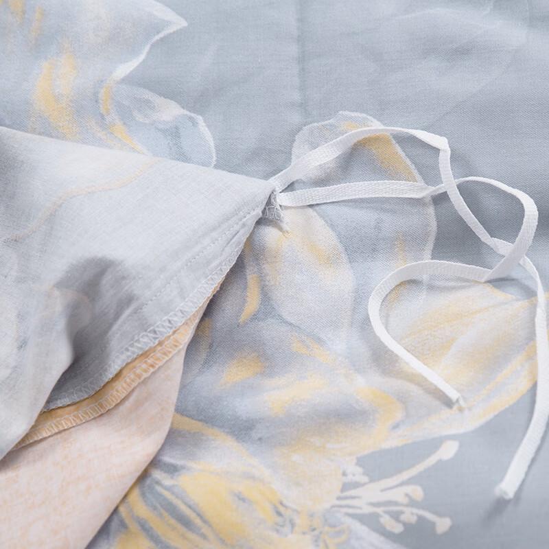 Shuixing Pure Cotton Printed 4-Piece Bedding Set