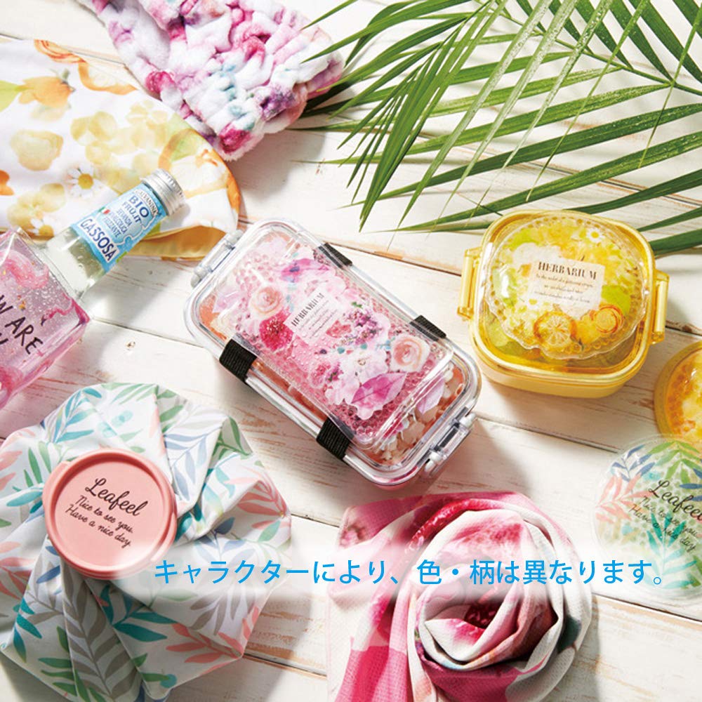 Skater Ice Pack with Sanrio CLBB1 Belt, "I'm Doraemon" Tool, 14x8cm,