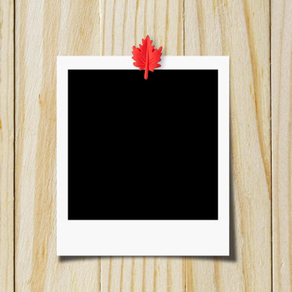 40 Stück Ahornblatt Blume Reißnägel Dekorative Reißzwecken Kork Notiztafel Reißnägel für Korktafel Pinnwand