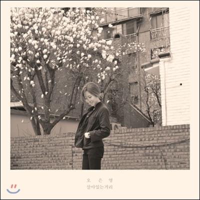 Audio i wideo – Albumy muzyczne