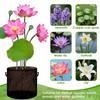 Breathable Aquatic Plant Baskets PVC Mesh Lotus Planter Pond Planting Bags  Garden Planting