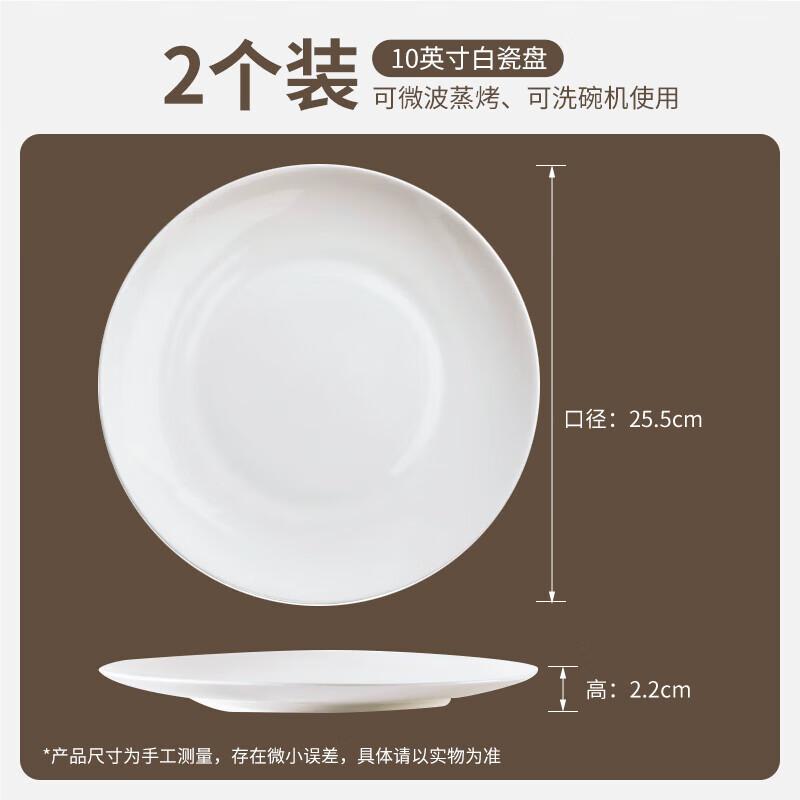 Set of 2 Ceramic 10-inch Steak Dinner Plates