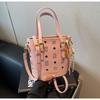 Cartoon Bear Print Portable Small Bag Female 2025 Spring Niche Design Oblique Span Bucket Bag