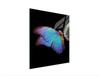 GLAS-SCHNEIDEBRETT 45x52 SCHMETTERLING