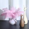 25-30cm Large Ostrich Feather for Wedding Bouquet or Photo Decoration