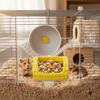 Corn Shape Pet Feeding Bowl Spill-Proof Rabbit Water Bowl Bird Food Basin  for Small Pets