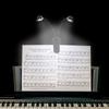 Ahvqevn 2pcs Music Stand Light Clip-on LED Book Light Dual Arm Reading Lamp for Bedside Books 360 Degree Adjustable Clip
