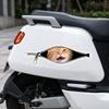 Scratch Covering Car Stickers Creative Car Decorative Sticker New Zipper Stickers  Car Window Glass