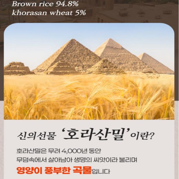 [Sugar Lab] Stevia Khorasan Wheat & Brown Rice Puffed Snack 3pack