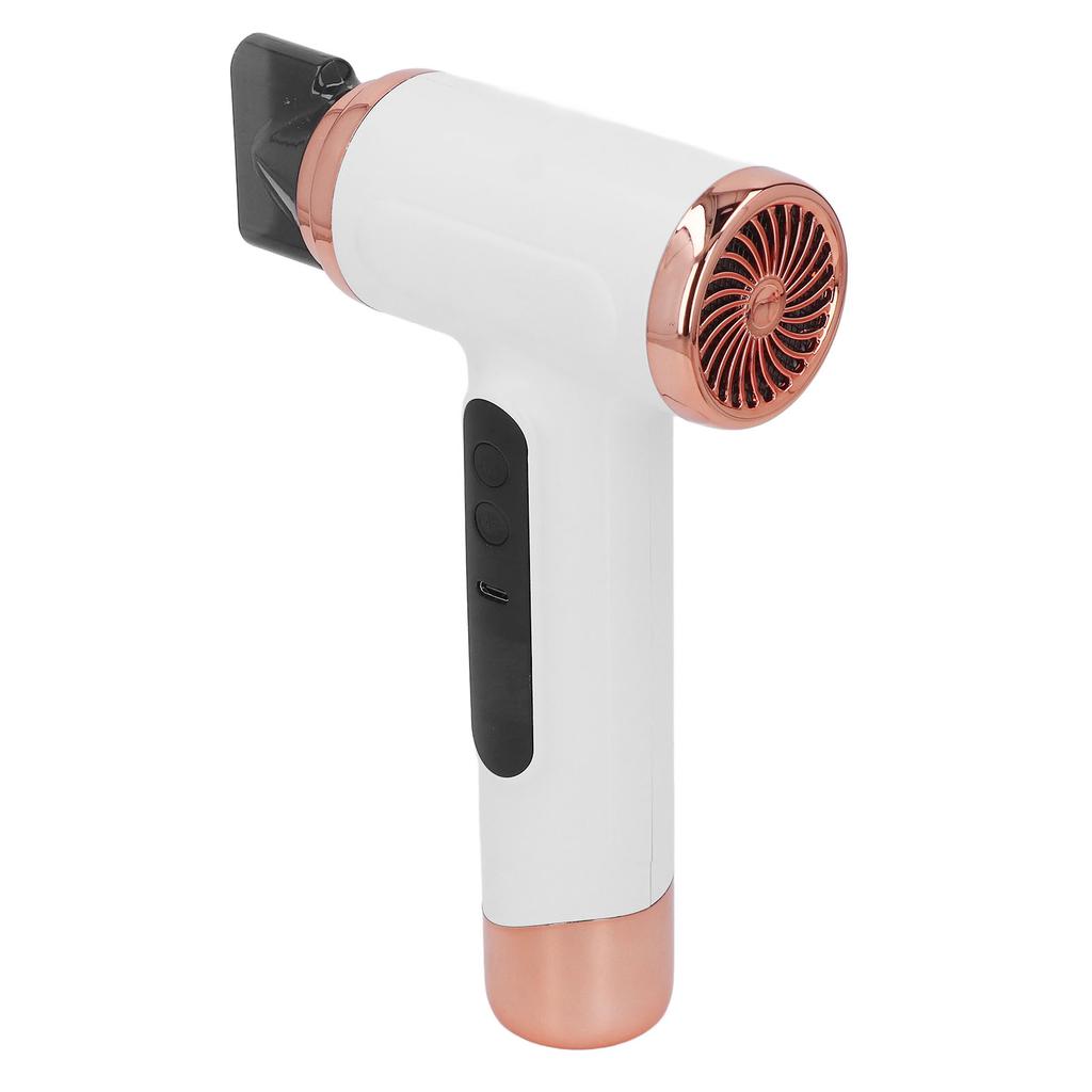Hair Blow Dryer Wet and Dry Use 200W Powerful Hair Dryer Portable Multifunctional Pet Blow Dryer for Travel