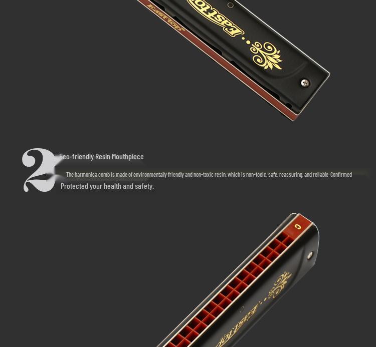 Dongfang's 22-Hole C Key Polyphonic Harmonica for Beginners and Adults