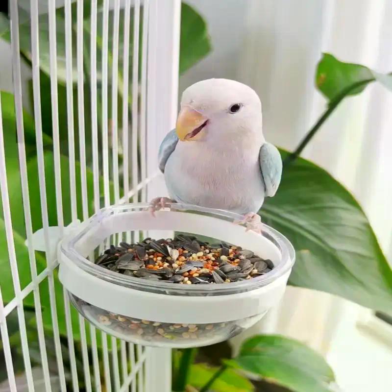 Bird Feeding Bowl Detachable Transparent Plastic Food Cup for Cage Convenient Hanging Seed Water Feeder Parrots