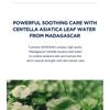 SKIN 1004 - Madagascar Centella Hyalu-Cica Sovmask Bundle Set