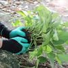 Claw Gardening Gloves: Stab-Proof Latex Protective for Planting and Digging