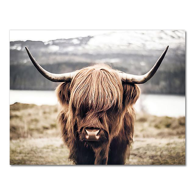 Highland Cow Wild Animals Canvas Painting Cattle Posters and Print Nordic Scandinavian Cuadros Wall Art Picture for Living Room No Frame
