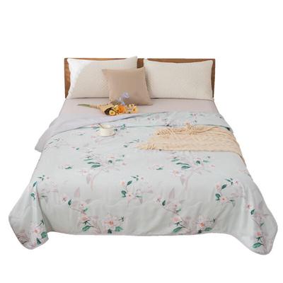 Duohixiai Brushed Flannel Summer Quilt