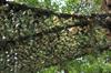 TENCEN Camouflage Camouflage Camouflage Ghillie Outdoor Bird X 2m Netting, Pattern, Netting, Netting, Sunshade, Ventilation, Privacy, Camping,